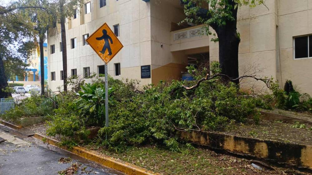 Alerta en la UASD tras caída de árboles dentro del campus